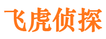 茄子河市婚姻出轨调查